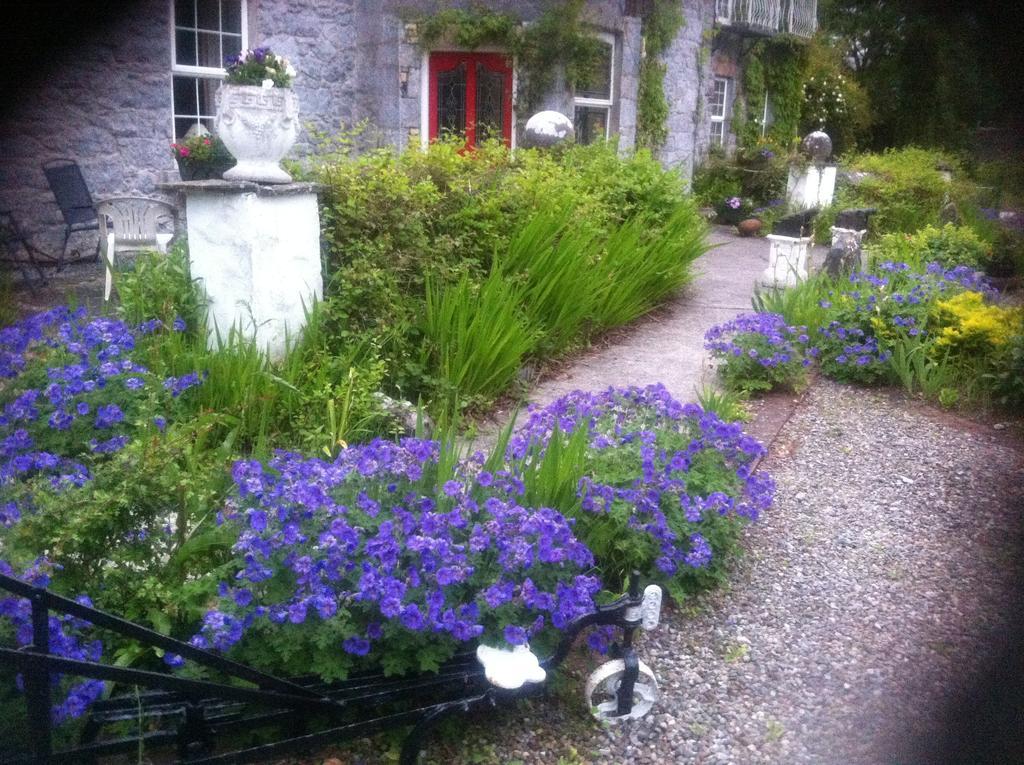 Bed and Breakfast Caheroyn House à Athenry Extérieur photo