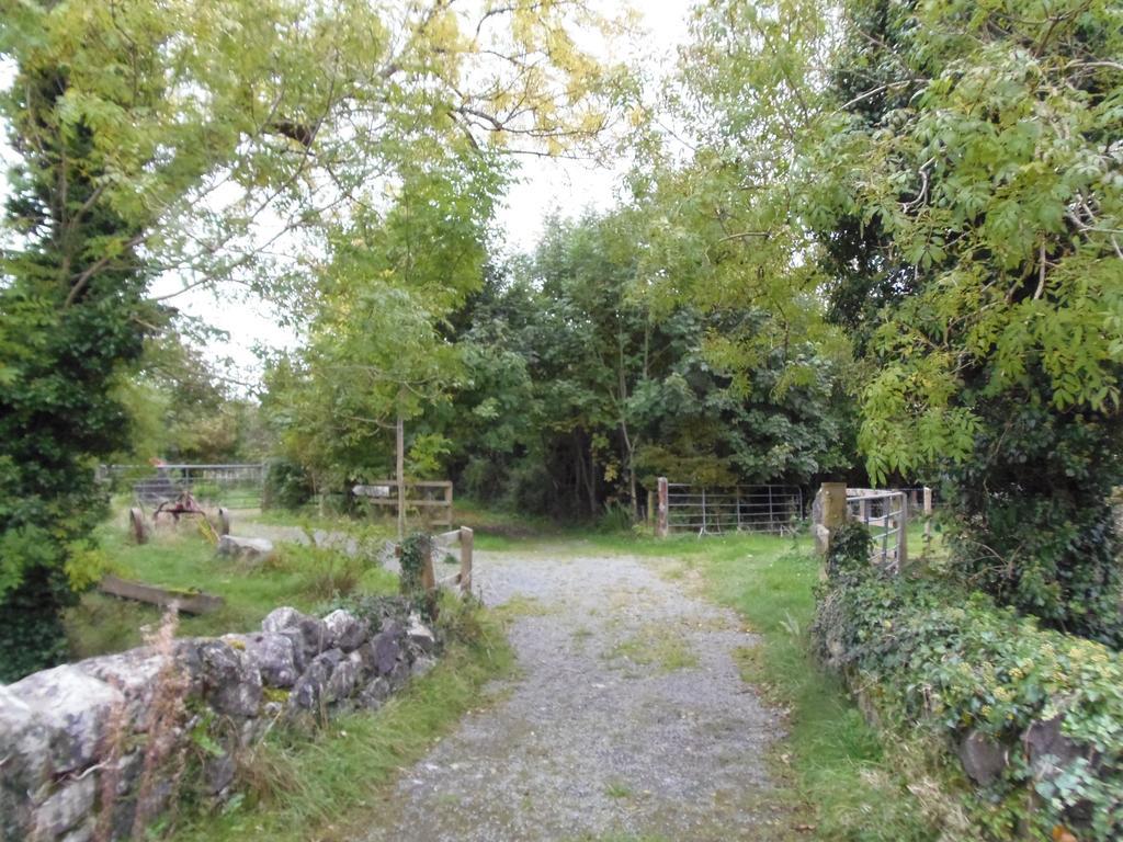 Caheroyn House Athenry Extérieur photo